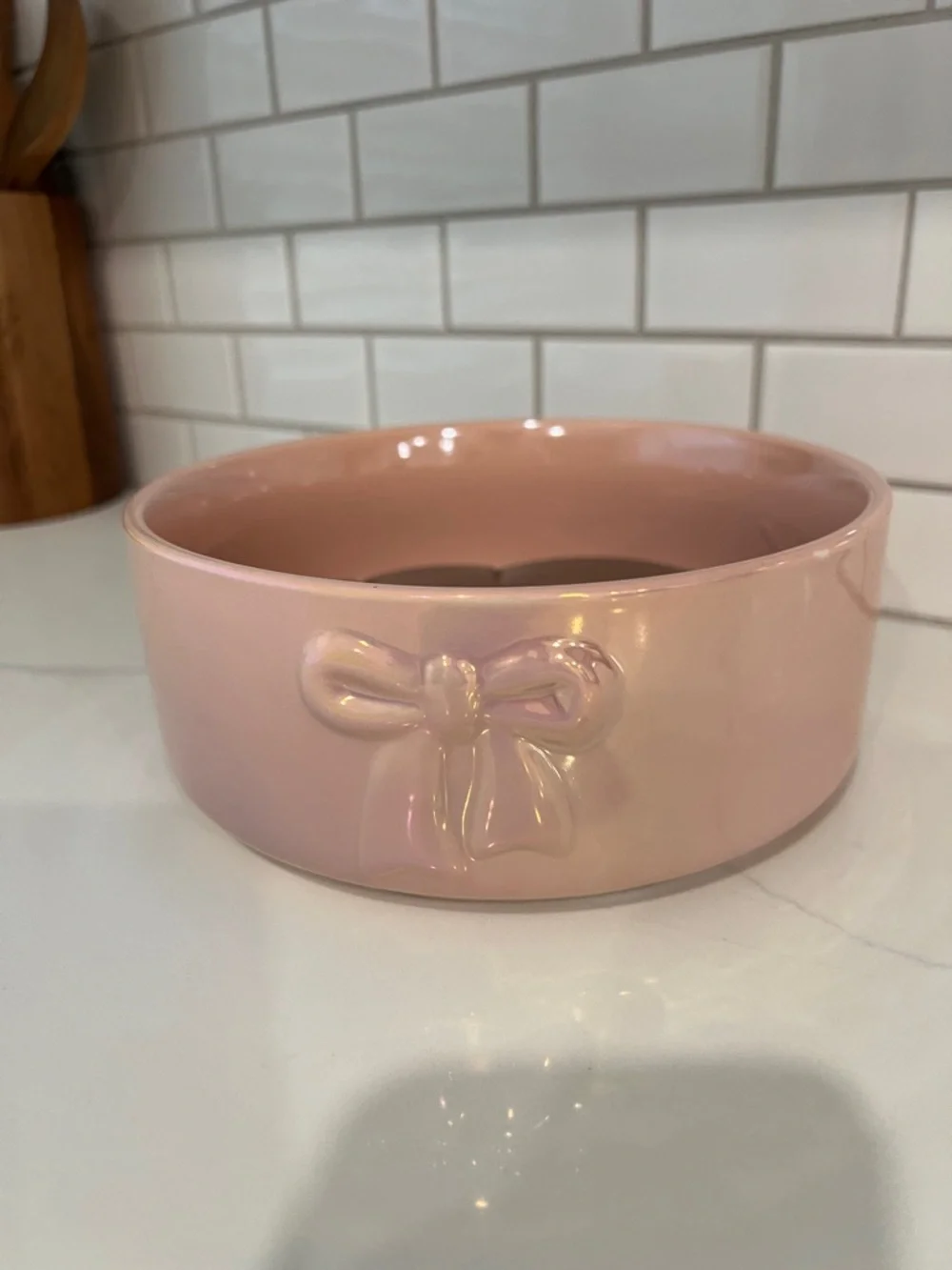 Cute.🐾🎀 DOGS. BOWL🎀🐾
